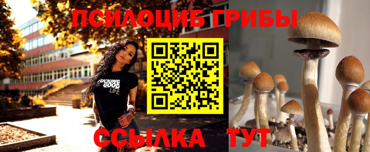 Галлюциногенные грибы GOLDEN TEACHER Новошахтинск