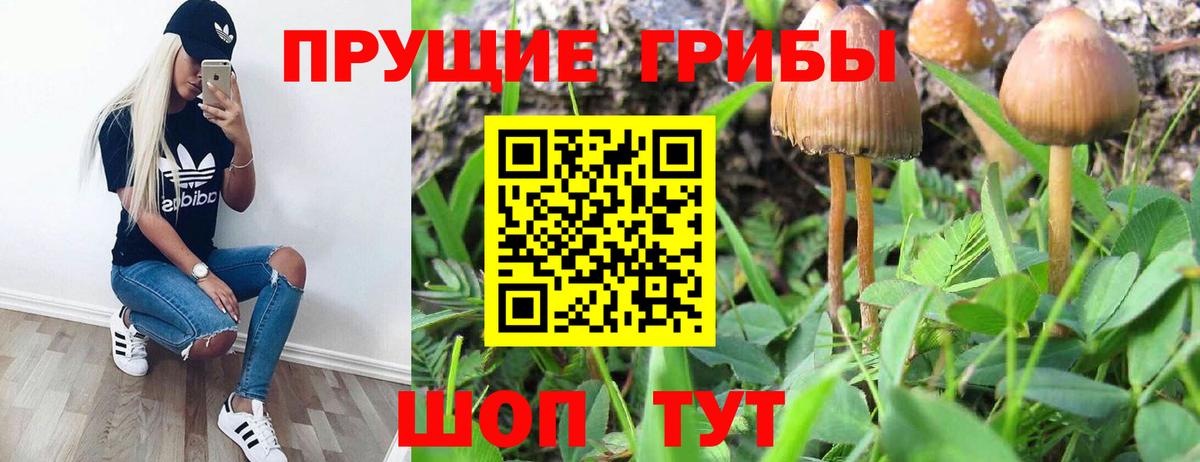 Новошахтинск  Галлюциногенные грибы Magic Shrooms  Вход с VPN  Псилоцибиновые грибы мицелий 