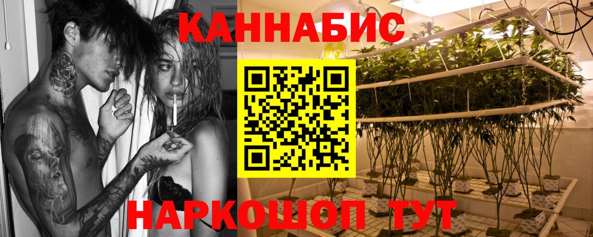 Бошки Шишки план Новошахтинск